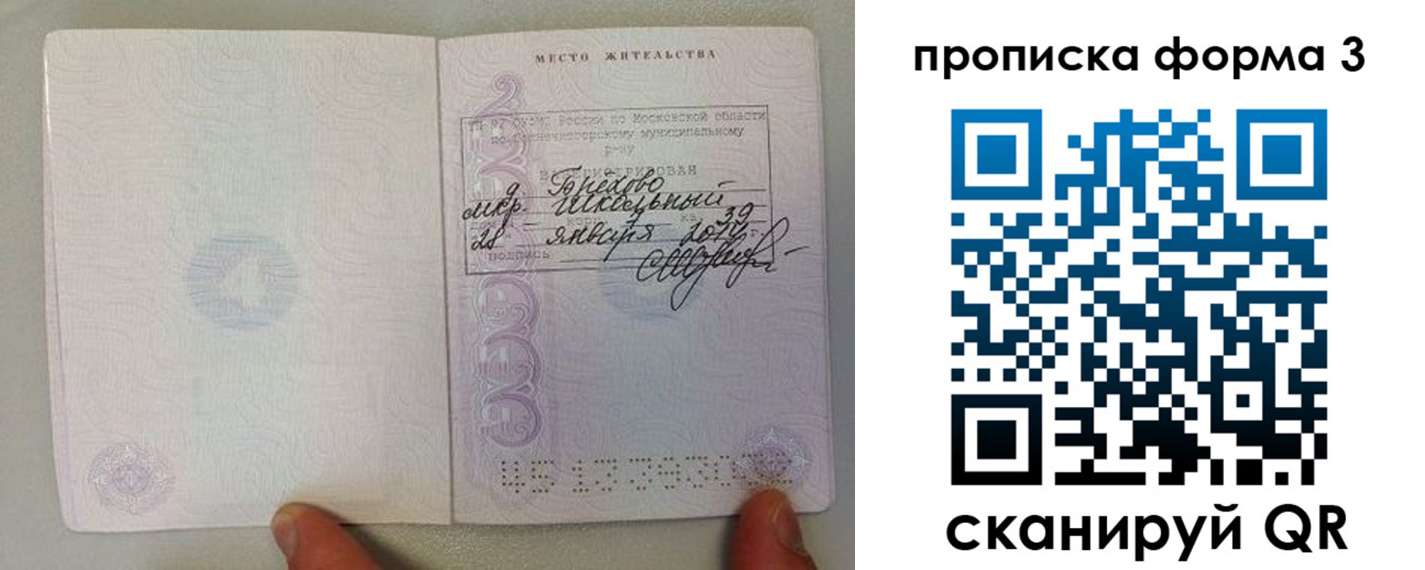 прописка гарантия в Щучье